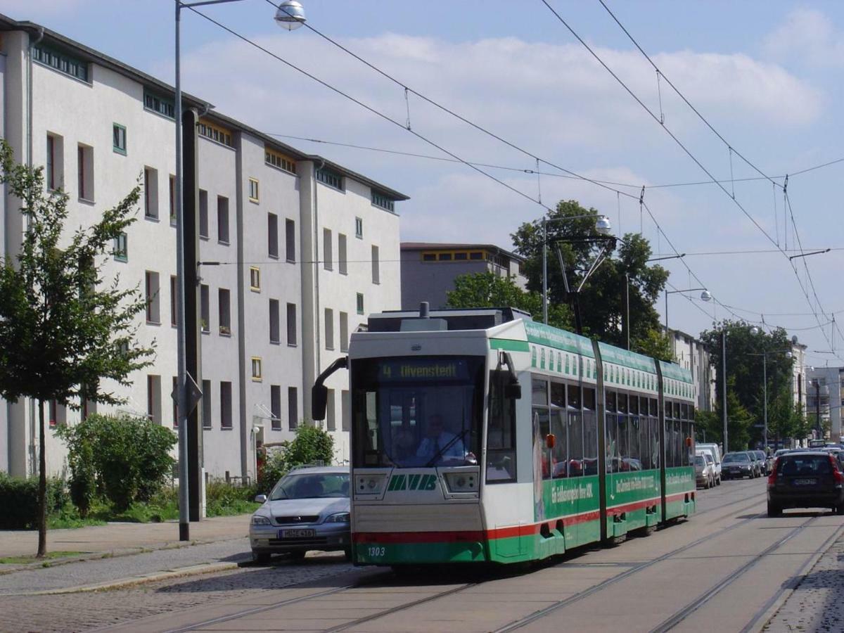 Elbidyll Apartment